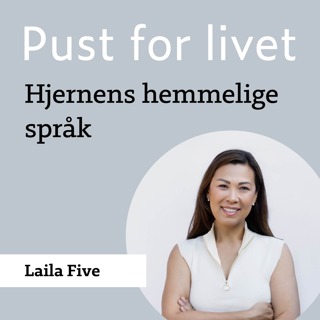 Laila Five. Hjernens hemmelige språk