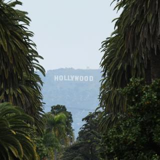 Hollywood tariffs, the Trump effect in global elections, 'Diddy' trial and the Fed