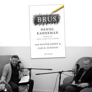 #242 Brus, det osynliga felet som stör våra bedömningar med Niklas Laninge