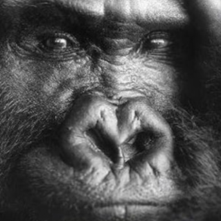 15 Best Science Books to Read