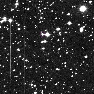 882-David’s Goliath PHA