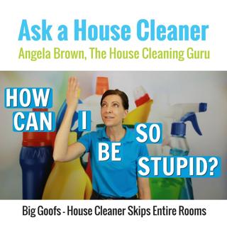 Skipped Some Chores - House Cleaner Big Goofs