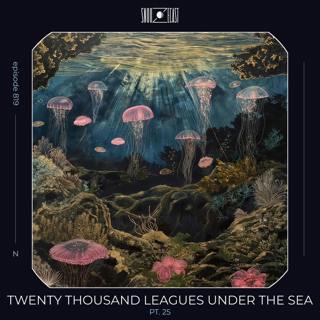 Twenty Thousand Leagues Under the Sea pt. 25