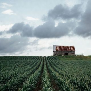 Farm Subsidies: Protect Farmers, Fix the System