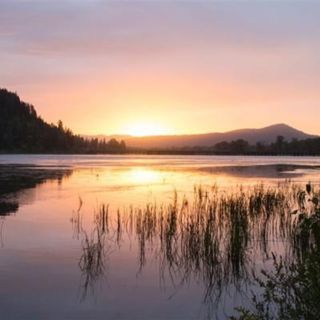 Camping Ambience: Idaho Mountain Campsite - 10 Hours Sleep Sound