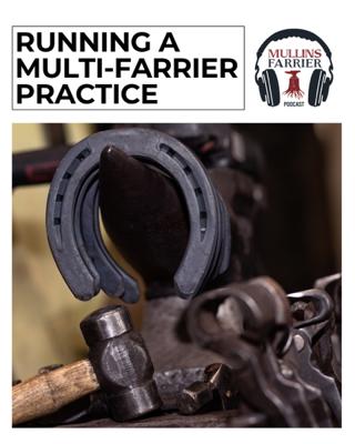 Running A Multi-Farrier Practice