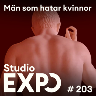 203. Män som hatar kvinnor