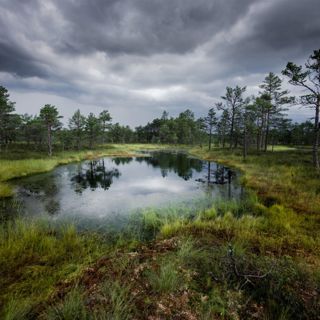 Stormy Swamp - 10 Hours Sleep Sound