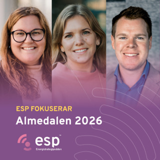 #361 - Almedalen 2026, Analyser från Sigholm