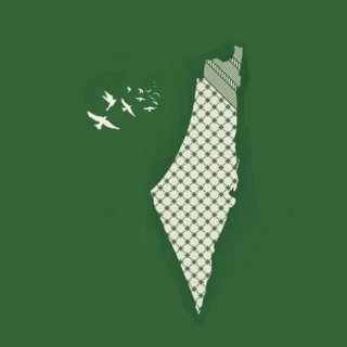 Palestine Ep. 10: Healing from Zionism w/ Meital Yaniv