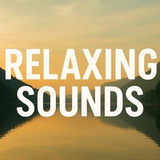 Relaxing Sounds | Calm River in the Morning 8 Hours | Sleep,Relax,Study