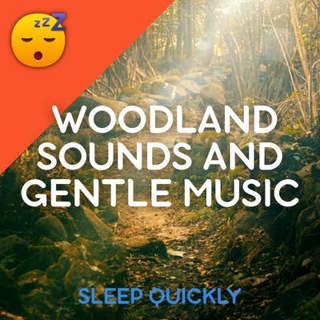 😴🍂🎵 Tranquil WOODLAND Sounds and Gentle MUSIC for Restful SLEEP and WELLNESS