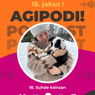 18. Suhde koiraan