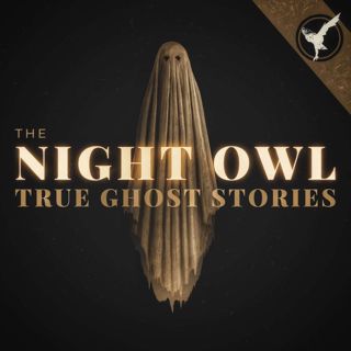 Announcement: A Night Owl Pause