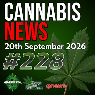 Britain’s Cannabis Law "Nobody Seems to Enforce", Cannabis Farms in Empty Shops, UK Medical Cannabis Review, New US Seed Law & Teen Cannabis Research | Cannabis News #228