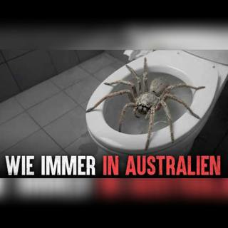 Die tödlichsten Tierangriffe in Australien