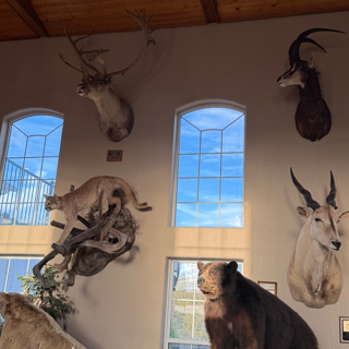 A Buffet Discussion: 7 RUM Update, 348 Win, Deer Season, and Shotgun Basics