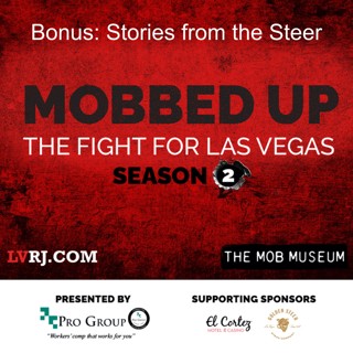 Bonus: Stories from the Steer