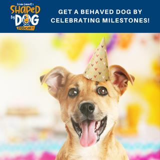 Get a Behaved Dog by Celebrating Milestones! #41