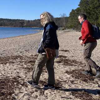 Östersjövåren under ytan - och vad skalbaggar kan säga om skogsbruk