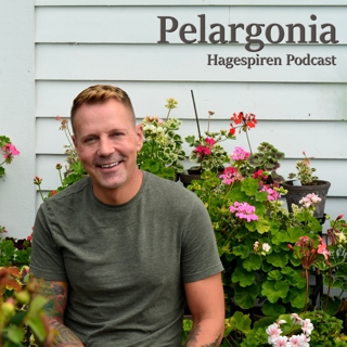 40/24: Pelargonia med Kenneth Ingebretsen