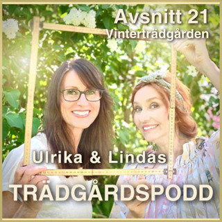 Avsnitt 21 - Vinterträdgården