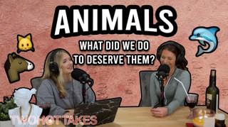 13: Animals.. What Did We Do to Deserve Them?