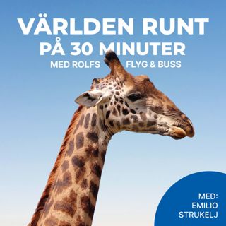 Emilio Strukelj – Från Robinson till Rolfs Flyg & Buss