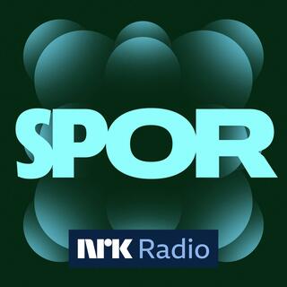 rss-spor