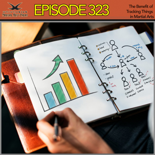 Episode 323 - The Benefit of Tracking Things in Martial Arts