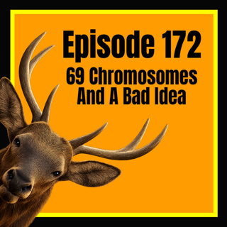 Episode 172: 69 Chromosomes and a Bad Idea