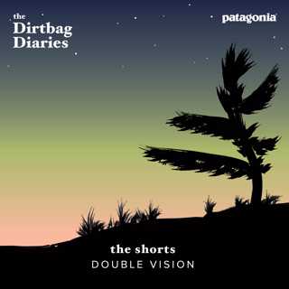 The Shorts--Double Vision