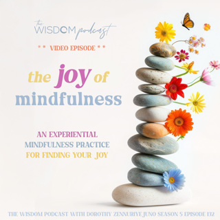 The JOY Of Mindfulness VIDEO Episode |  The WISDOM podcast  |  S5 E132