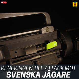 Regeringen ändrar vapenlagen i skandalös symbolpolitik