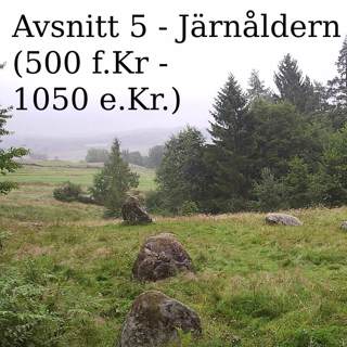 5. Järnåldern (500 f.Kr - 1050 e.Kr)