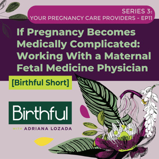 If Pregnancy Becomes Medically Complicated: Working With a Maternal Fetal Medicine Physician, with Dr. Loralei Thornburg