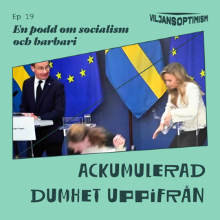 19. Ackumulerad dumhet uppifrån