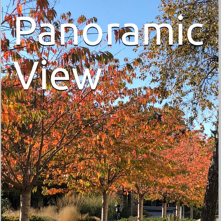 Panoramic View Volume 32 Bright by Daniel Lucas