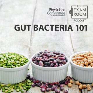 Gut Bacteria 101