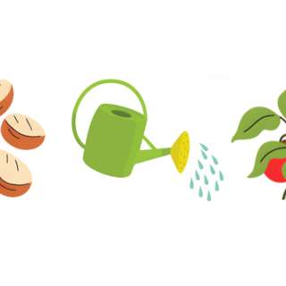 10.12.25 - Planting Seeds of Hope (Generosity Sunday)