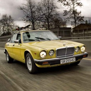 Gul enke (pratepod fra en Jaguar Xj6 serie 3)