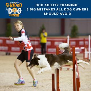 Dog Agility Training: 3 Big Mistakes All Dog Owners Should Avoid #114