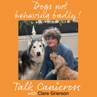 Dogs Not Behaving Badly