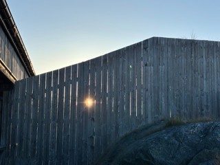 462. En livgivande sol