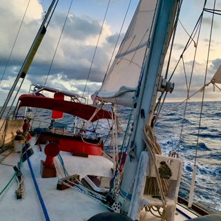 Jamaica to The Bahamas, Ciguatera