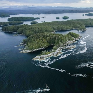Centering an Indigenous approach to forestry through reciprocity, not extraction
