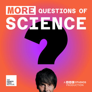 Cancer vaccines, tumour-killing cells and does fasting work as a treatment?