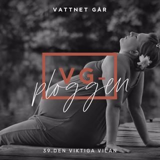 172. VG-ploggen "Den viktiga vilan"