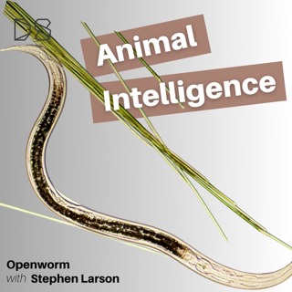 OpenWorm