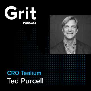 #145 CRO Tealium, Ted Purcell: Snap Into It